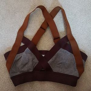Aritzia sports bra (brand Community)